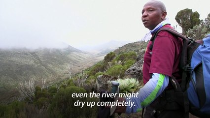 Guide fears Mt Kenya's 'beautiful' glacier will 'disappear completely'