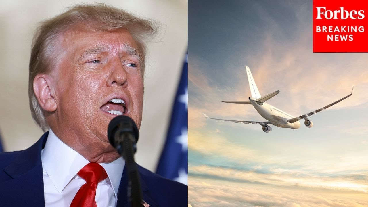 Leavitt Asked If President Trump Ordered Planes To Stay In The Air After Judge Ordered Them Back