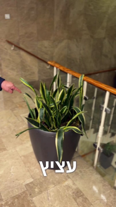 Le Premier ministre israélien Benjamin Netanyahou répond «aux jeunes» sur TikTok et dénonce «l’administration permanente» qui penche «toujours à gauche»