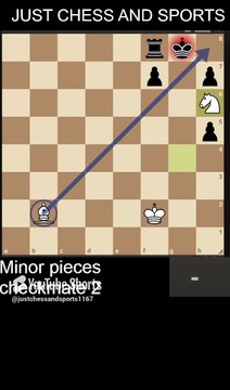 Minor pieces checkmate 2. Bishop and Knight checkmate