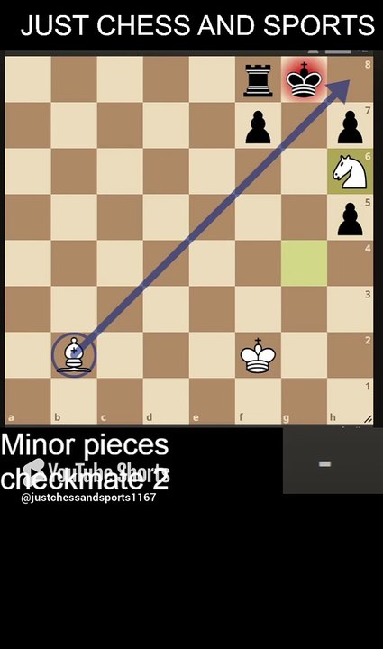 Minor pieces checkmate 2. Bishop and Knight checkmate