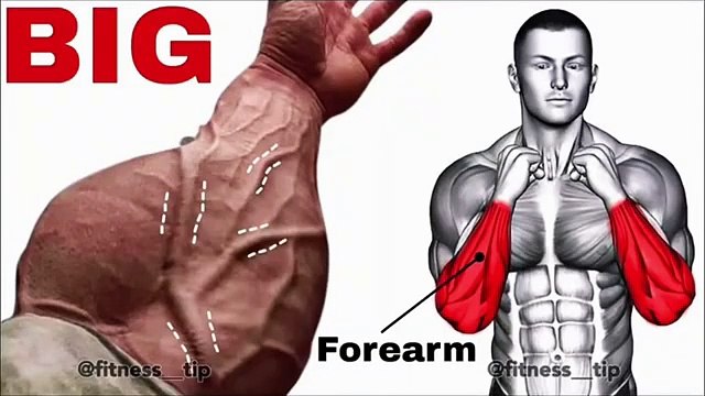 💪 Get Stronger Forearms Fast! Top Exercises for Grip Strength & Power 🚀 | Prime Fitness Hub