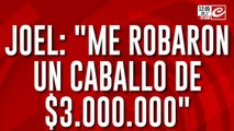 Crece el robo de caballos para faenarlos