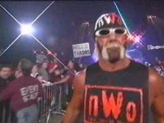 Hollywood HOGAN  Vs  Ric FLAIR "steel cage match" p.1