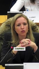 Sardone - Sull'auto l'Unione Europea sta facendo un autentico disastro. (20.03.25)