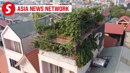 Vietnam News | Rooftop garden for healing