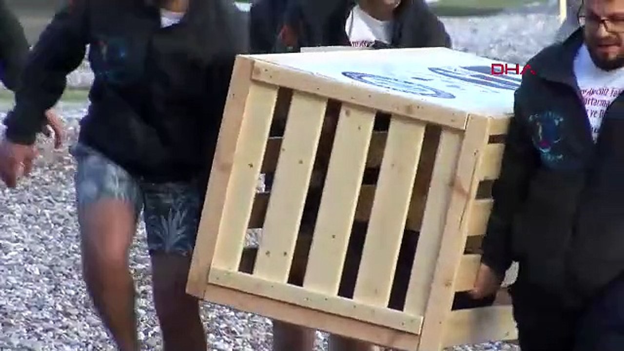 Antalya'da yürekleri ısıtan anlar: Türkiye'nin en sevimli miniği aylar sonra denizle buluştu