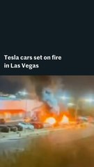 Tesla cars set on fire in Las Vegas