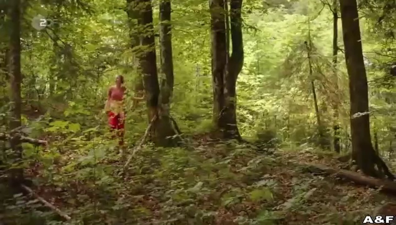 Frühling -25- Spuren der Vergangenheit