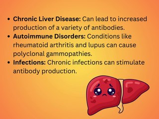 Immunofixation: Detecting and Characterizing Immunoglobulins