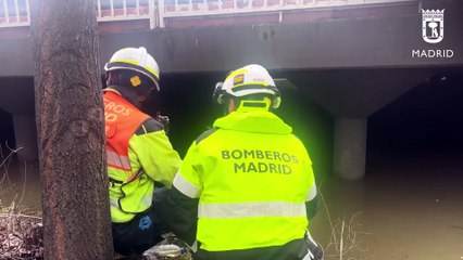 Preocupa la situación del Manzanares