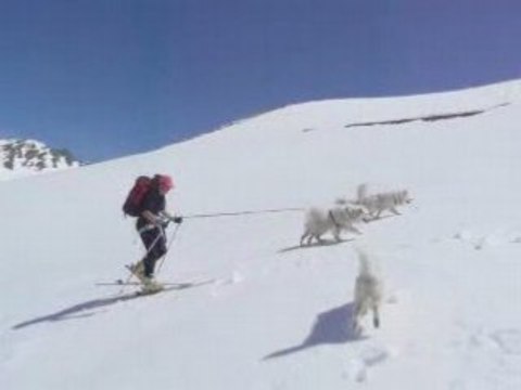 Rando sans peaux, avec samoyèdes,Col agniel, Queyras