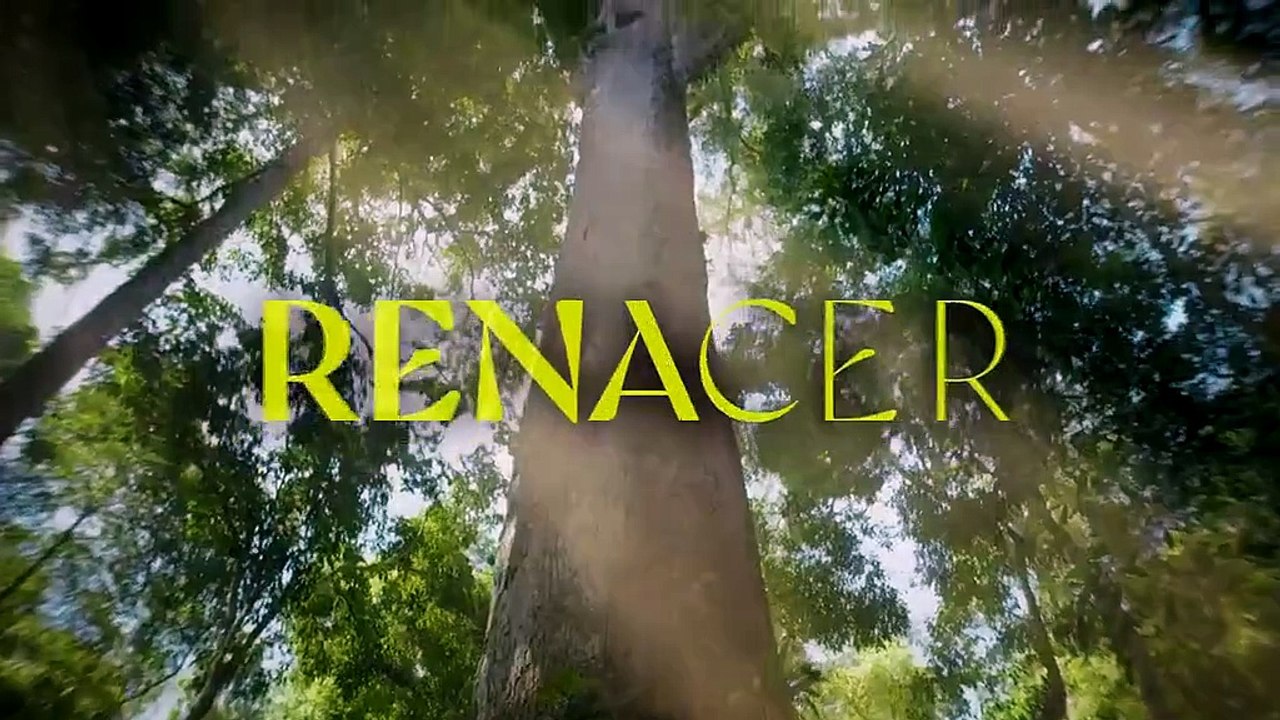 Renacer   Cap 158