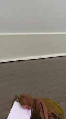 Cockroach Saved His Family From Hunger 🥰🥹