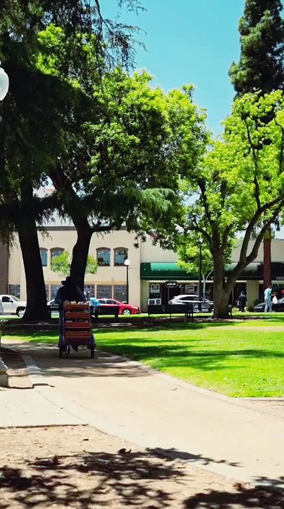 VENDOR PULLS OFF THE MOST EPIC VEGETABLE CART EVER! #vegetables #vegetable #veg #naturelovers