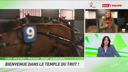 Le replay du 21 mars - Hippisme - À toute allure