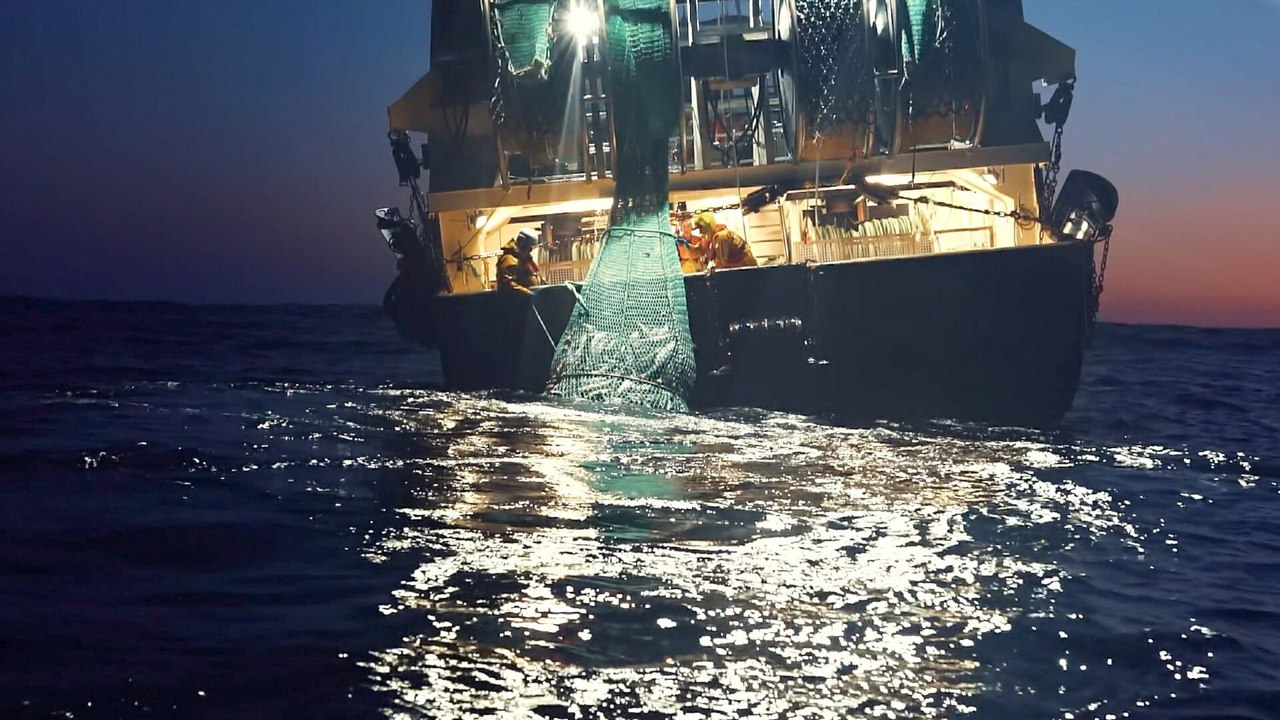 Seaspiracy : La pêche en question