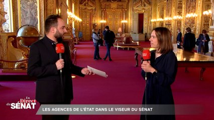 En direct du Sénat - Les agences de l'Etat dans le viseur du Sénat