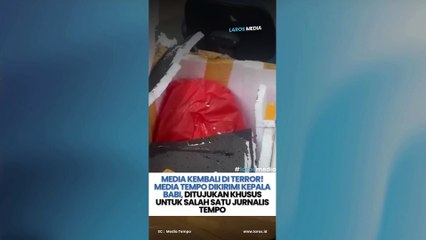 Media Di Terror! Media Tempo Dikirimi Kepala Babi, Ditujukan Khusus Untuk Salah Satu Jurnalis Tempo