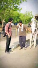 heart touching video/reality/trending shorts