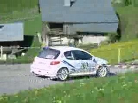rallye du beaufortain 2008 giraldo 206 maxi?