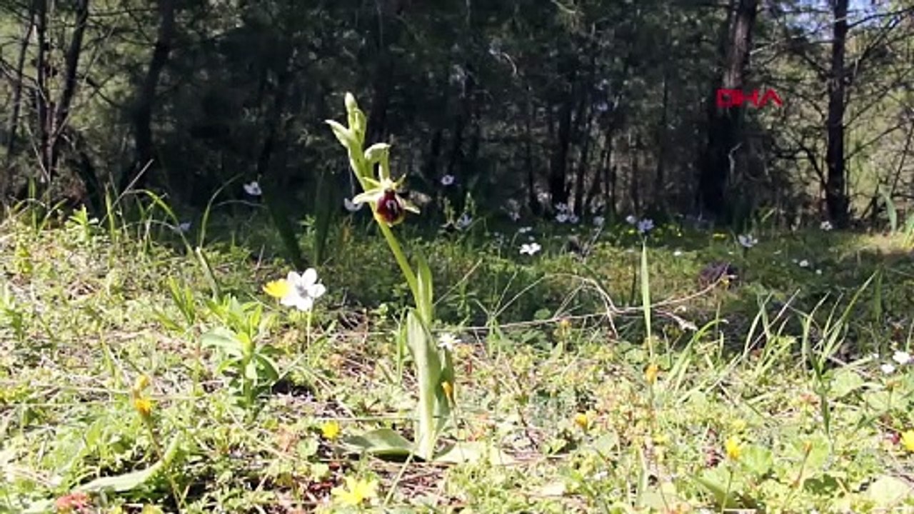 Ona dokunan yanar! Cezası tam 557 bin 212 Türk Lirası!