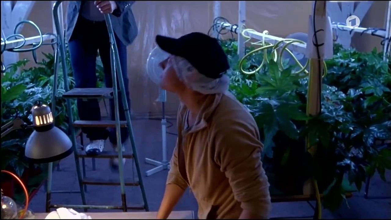 Die Pfefferkörner - Staffel 6, Folge 1. Unschuldig