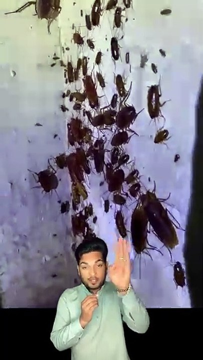 Snapsave.app