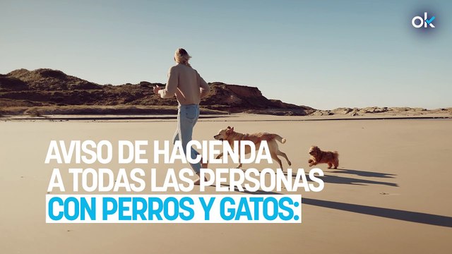 Aviso de Hacienda a todas las personas con perros y gatos: te pueden devolver un pastizal