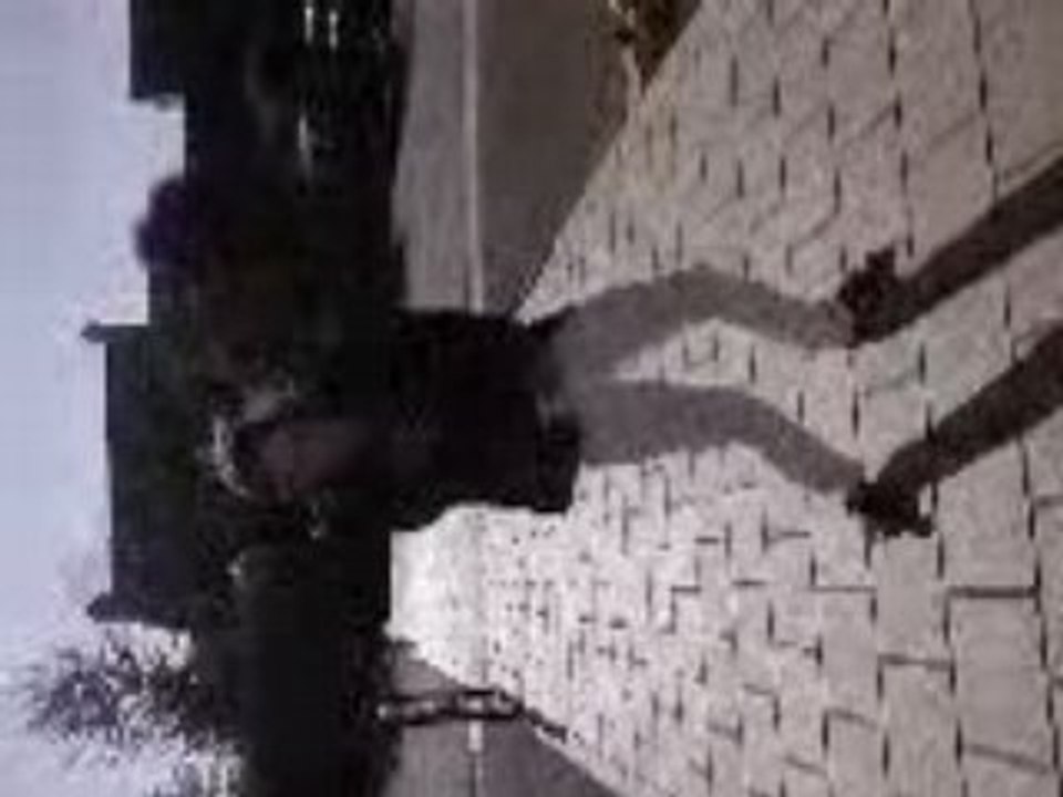 Lucile Disco =)