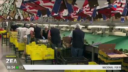 Economistas anticipan una contracción en la economía mexicana este año