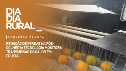 Redução de perdas na pós-colheita: tecnologia monitora transmissão do calor em frutas