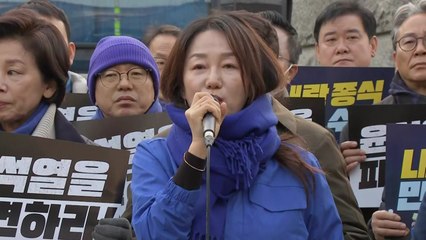 민주당 이재정 "헌재 앞에서 폭행당해"...경찰 신고 / YTN