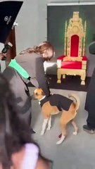 Firmiane Venâncio revela marcos da Defensoria Pública da Bahia