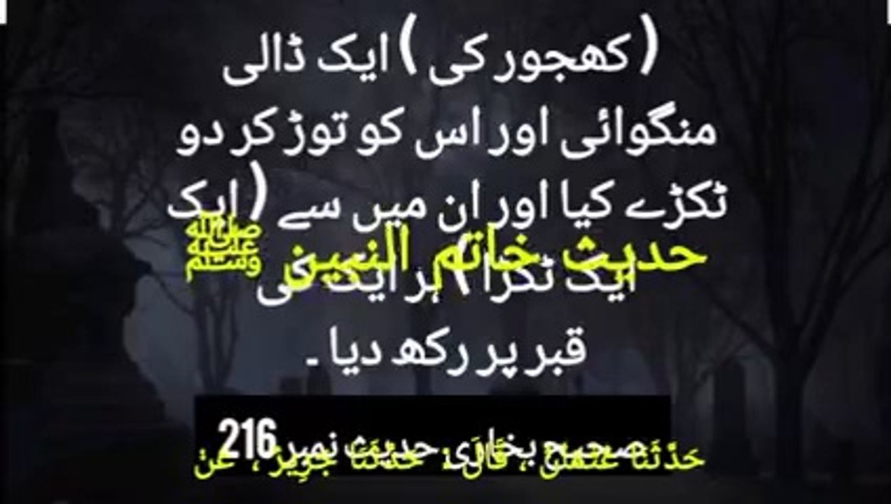 Sahih Bukhari Hadees No 216