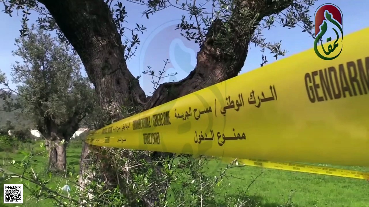 عنابة - توقيف شخص يبلغ من العمر 40 سنة متورط بجناية القتل بالبركة الزرقاء
