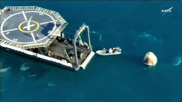 Dolphins welcome SpaceX Crew-9 Dragon spacecraft off coast of Florida after splashdown