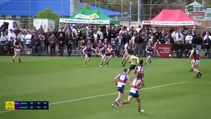 PREMIER DATA: Cooper Smith 2024 BFNL grand final highlights.