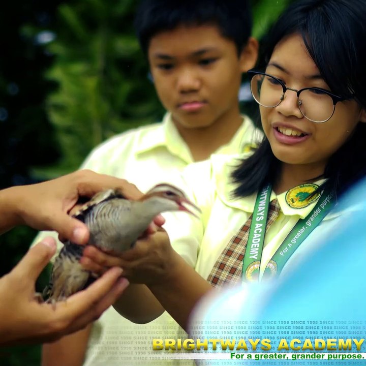 Rice Harvesting in Tanza, Cavite | Best School in Dasmariñas City, Best School in Amadeo, Cavite