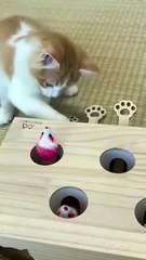 الموضع_خطير_كده(480p)