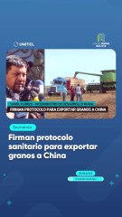 Firman protocolo sanitario para exportar granos a China