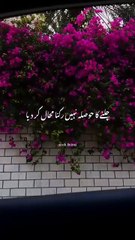 Best Urdu Poetry | Chalne Ka Hosla | Parveen Shakir Sad Shayari