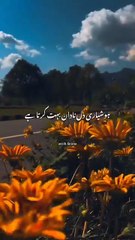 Irfan Siddiqui Urdu Poetry | Dil e Nadan | Best Urdu Shayari 2025