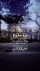 سورة يونس #قران_كريم #قرآن #قرأن #قران_كريم_ارح_سمعك_وقلبك #قرآن_بصوت_جميل