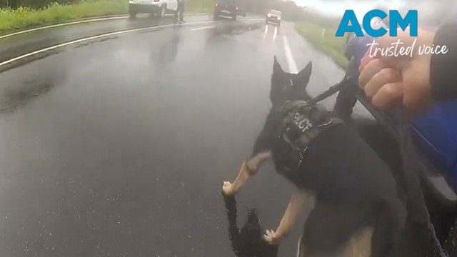 Queensland man charged after police track allegedly stolen vehicle