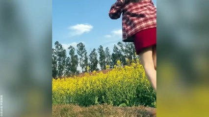 A sudden and unexpected hilarious moment.Hilarious Collection | Funniest Pranks Compilation 2025 | Try Not to Laugh Challenge!