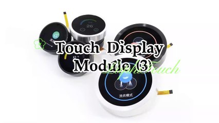 Touch Display Module (3)