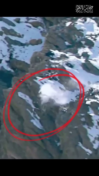 The snow leopard jumps from 60 meters to catch prey