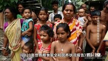 02 中国14亿人的口粮安全吗？