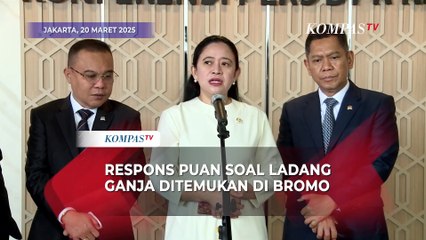 Tanggapan Puan Maharani soal Penemuan Ladang Ganja di Bromo